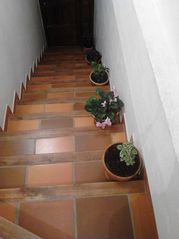 Cemandy Hostal Villa de Leyva Exterior photo